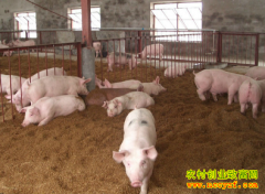 ���ʹ��������������ʹ�������ʲô�ŵ�