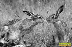 ������׬Ǯ��˼������ֳǰ������