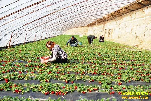 ������������ΰ��������ݮһ���������