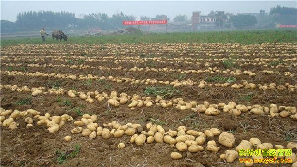 ���ȱ�� �������᲻���˵�