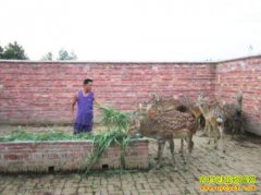 ����������������ֳ÷��¹��׬20����