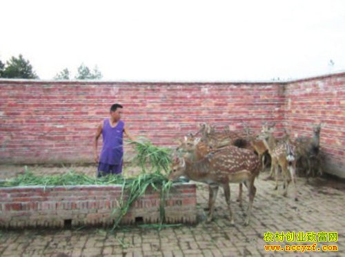 ���𻪸�÷��¹ιʳ