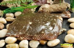 �౦����ֳǰ������ֳ������Ƶ