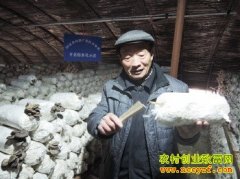 ɽ�����գ���һ���Կ��ӽ���ƽ��ʡ��������