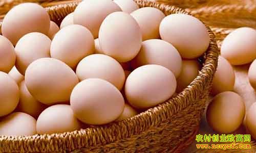 2016�꼦���۸��������Ʒ���