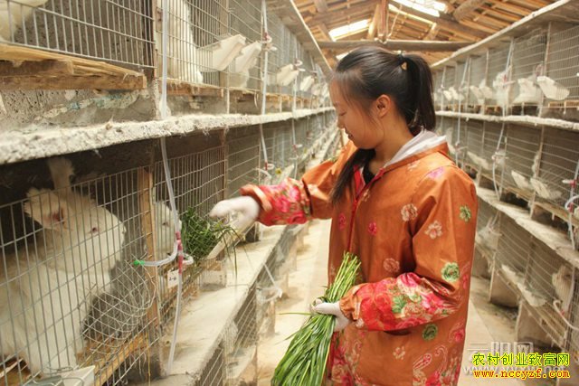 ����������Сϼ�����¸�