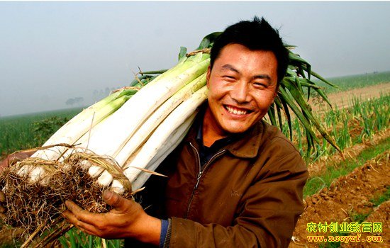 ��м۸�����