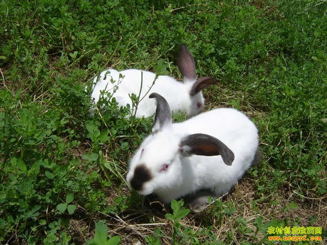 ������������ͼƬ