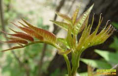 [ũ�����]�������㴻���㴻�������������Ƶ