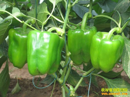 ����3����