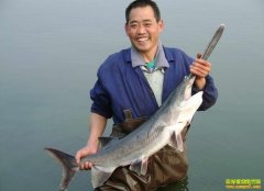 [ÿ��ũ��]��Ѽ����׬Ǯ����һ��Ѽ��������