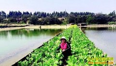 �㶫������������ֳ����ɹ��¸����ֵ100����Ԫ