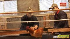 [�Ƽ�Է]�����Ļ鷿�����ϻ�����Զ����������Ƶ