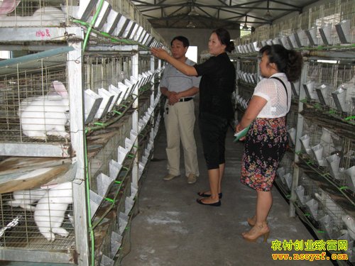 �ü۸��������