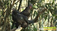 [�¸���]���ֲƸ���͸��(20160310)