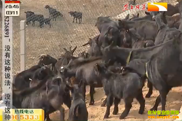 �������ݵ���̨¢������ֳ��Ŀ��������װ���� ��������ɽ��