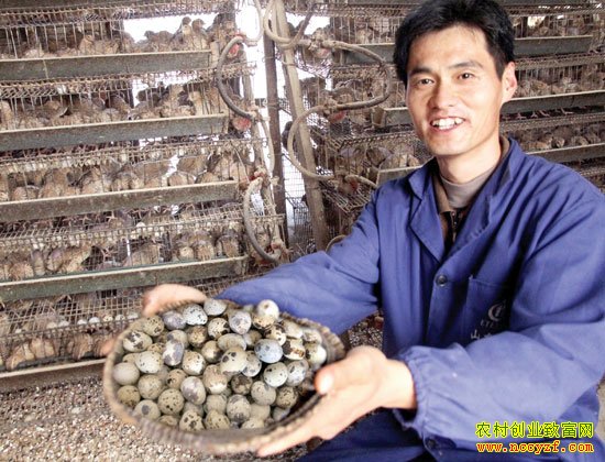 ɽ������������������������30����Ԫ