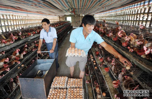 �����뽭���¹�������ι���� ������ֵǮ