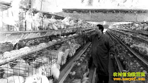 �����뽭���¹�������ι���� ������ֵǮ