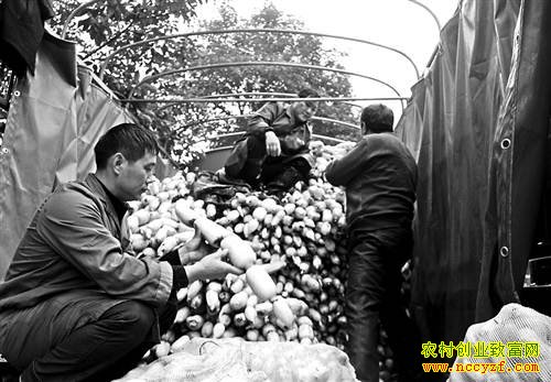 ����ͭ���̽�������ź�¸���׬40����Ԫ