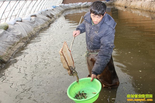 ���������¬־�����������������¸���;��