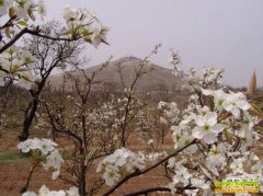 [�����е�]ɽ���������������������ɫ��