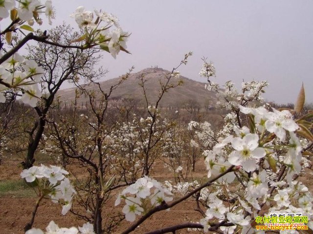 [�����е�]ɽ���������������������ɫ��