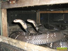 �����������ߴ����������ֳ�۾��������¸�·