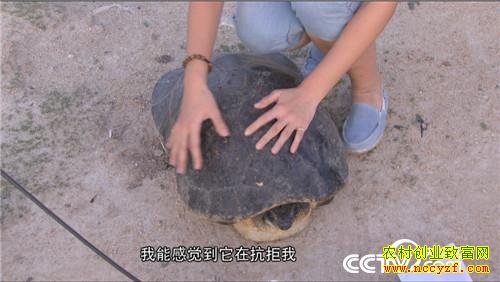 [�¸���]�����Ͳ�����ա�����������׬ȡǧ��Ƹ�