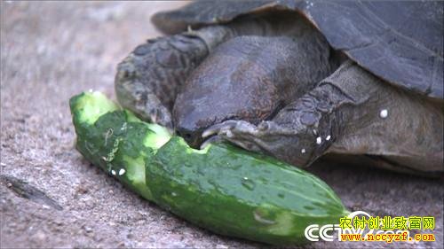 [�¸���]�����Ͳ�����ա�����������׬ȡǧ��Ƹ�