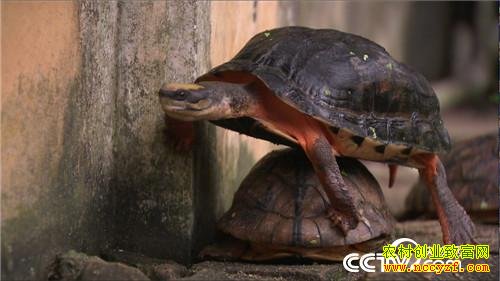 [�¸���]�����Ͳ�����ա�����������׬ȡǧ��Ƹ�