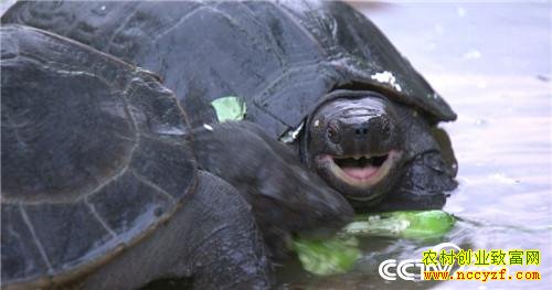 [�¸���]�����Ͳ�����ա�����������׬ȡǧ��Ƹ�