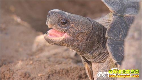 [�¸���]�����Ͳ�����ա�����������׬ȡǧ��Ƹ�