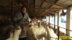 [�¸���]���������ӻ�������һ��ϱ���������Ƹ�