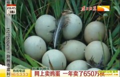 ���������־������������һ������650��ö�̿Ǽ���