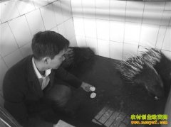 �����ϴ��޿���ֳ������ҵ�¸�����