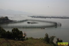 [�Ƽ�Է]�㽭̨��é������Χ�����������Ƶ