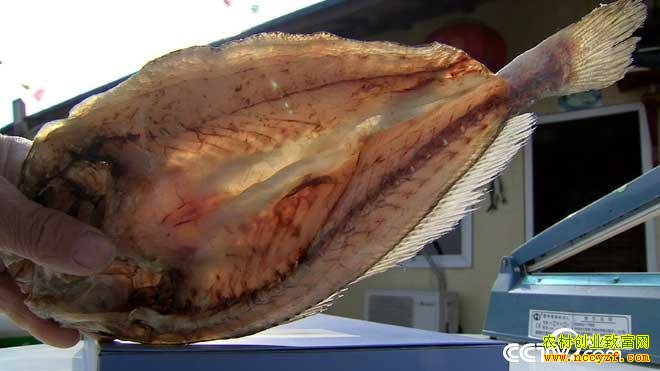 [�¸���]�㽭��ɽ���Ŵ������紵���ĲƸ�