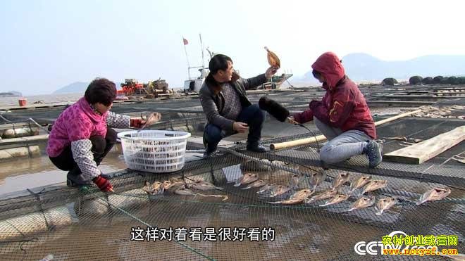 [�¸���]�㽭��ɽ���Ŵ������紵���ĲƸ�