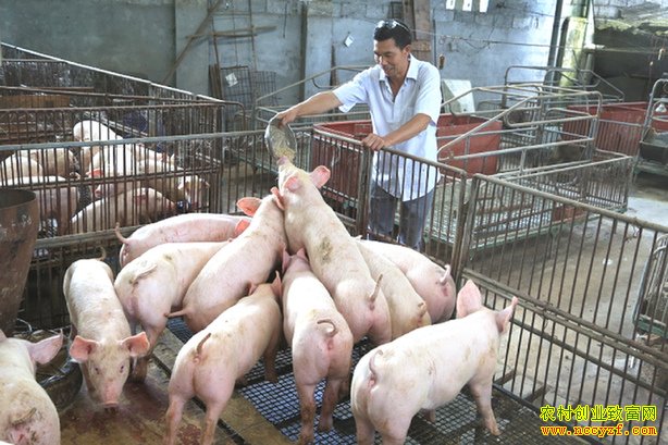 ����ʯ�����������Ʒ���������ÿͷ����Լ�ɱ�200Ԫ