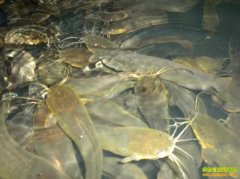 [ũ�����]�����������ֳ������Ƶ