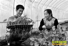 ��������̷ϣ��ֲϡ���߲˺��¸�