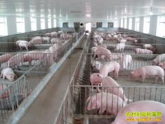 ����������׬Ǯ������Ч�治�ã���׼�����ǹؼ�