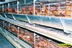 ��������׬Ǯ������������������ľ���Ч��