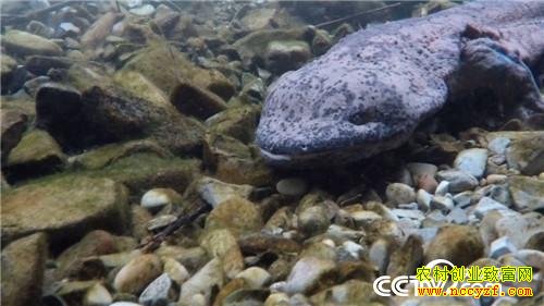 [�¸���]����Ȩ�����͵�������׬Ǯʵ�ֲƸ�����