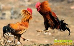 ��������������������ֳ����Ҫ��