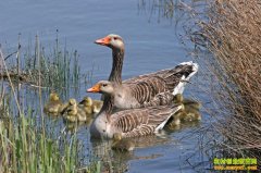 [ÿ��ũ��]���ɵĻ���ɶ쵰�뺣��ɽ���¸�����Ѱ��·