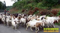 �¸��ð����������Ͷ����ܵ�ƽ�������¸ᡱ�����¸�·