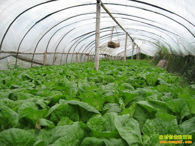 ��������ũ����´����߲��ֳ��¸�·