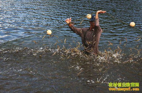 [ũ�����]�й���Ϻ��ֳ����